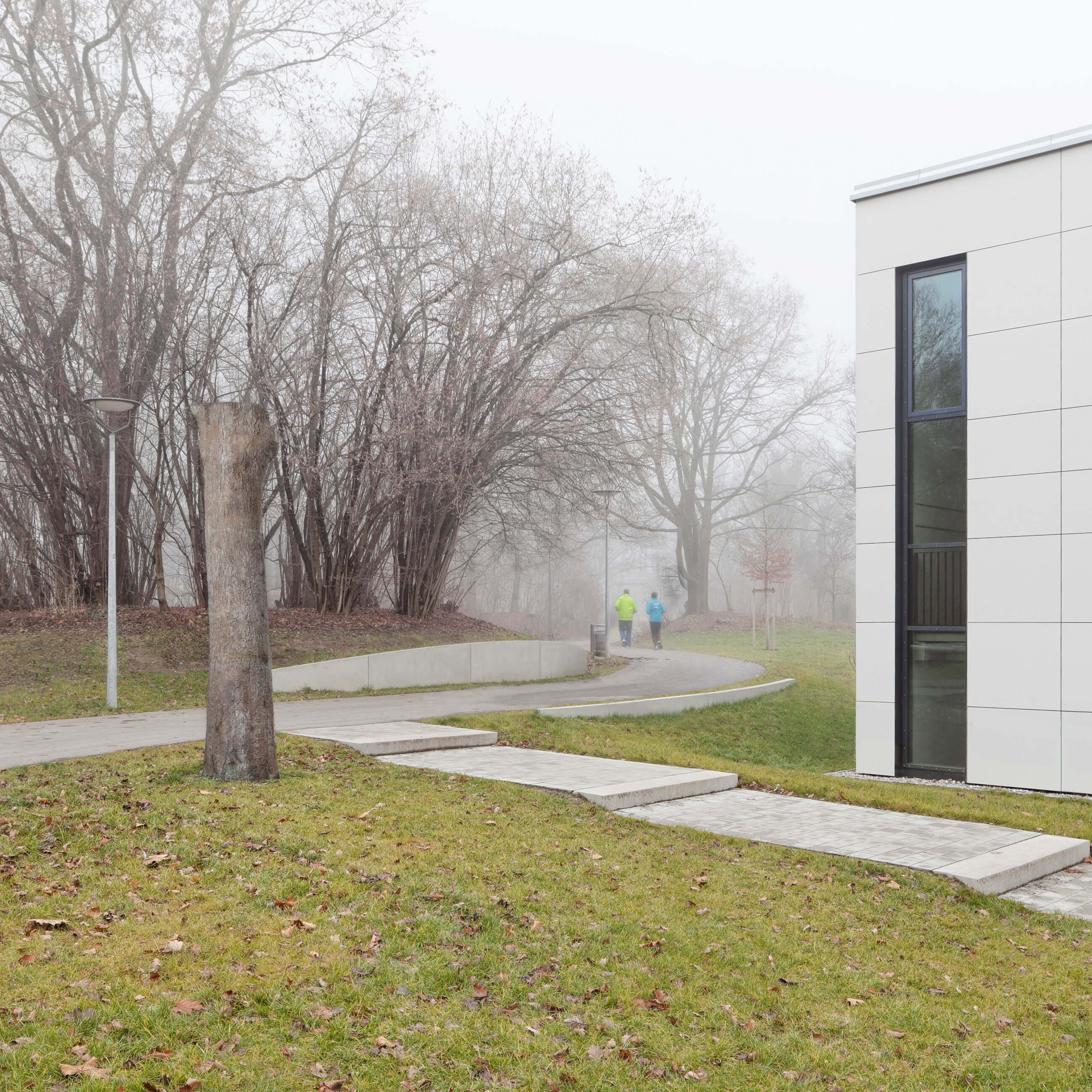 es war einmal ein baum, wilhelm-hausenstein-gymnasium