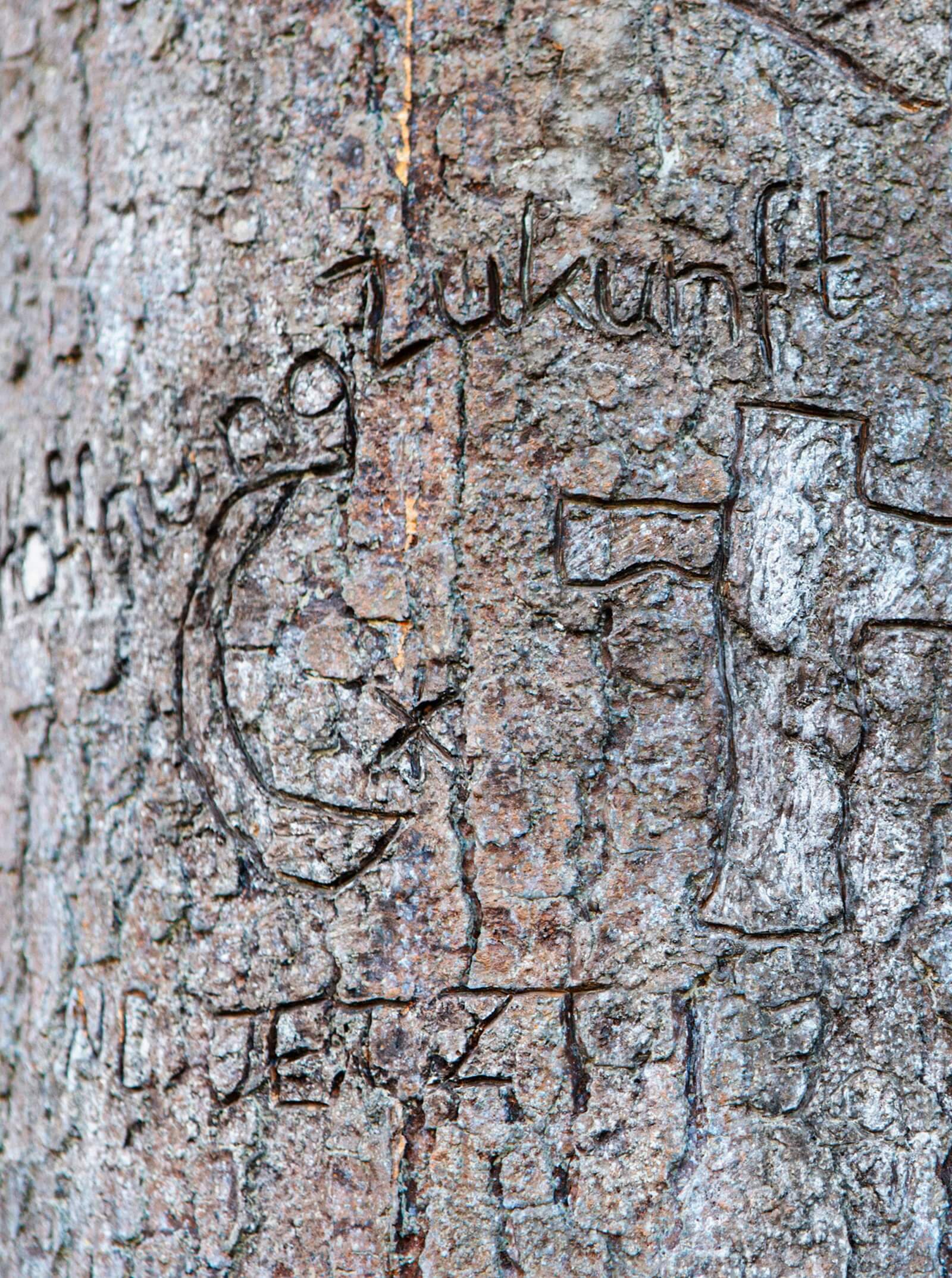 Es War Einmal Ein Baum Wilhelm Hausenstein Gymnasium 2013 Tim Bennett 02