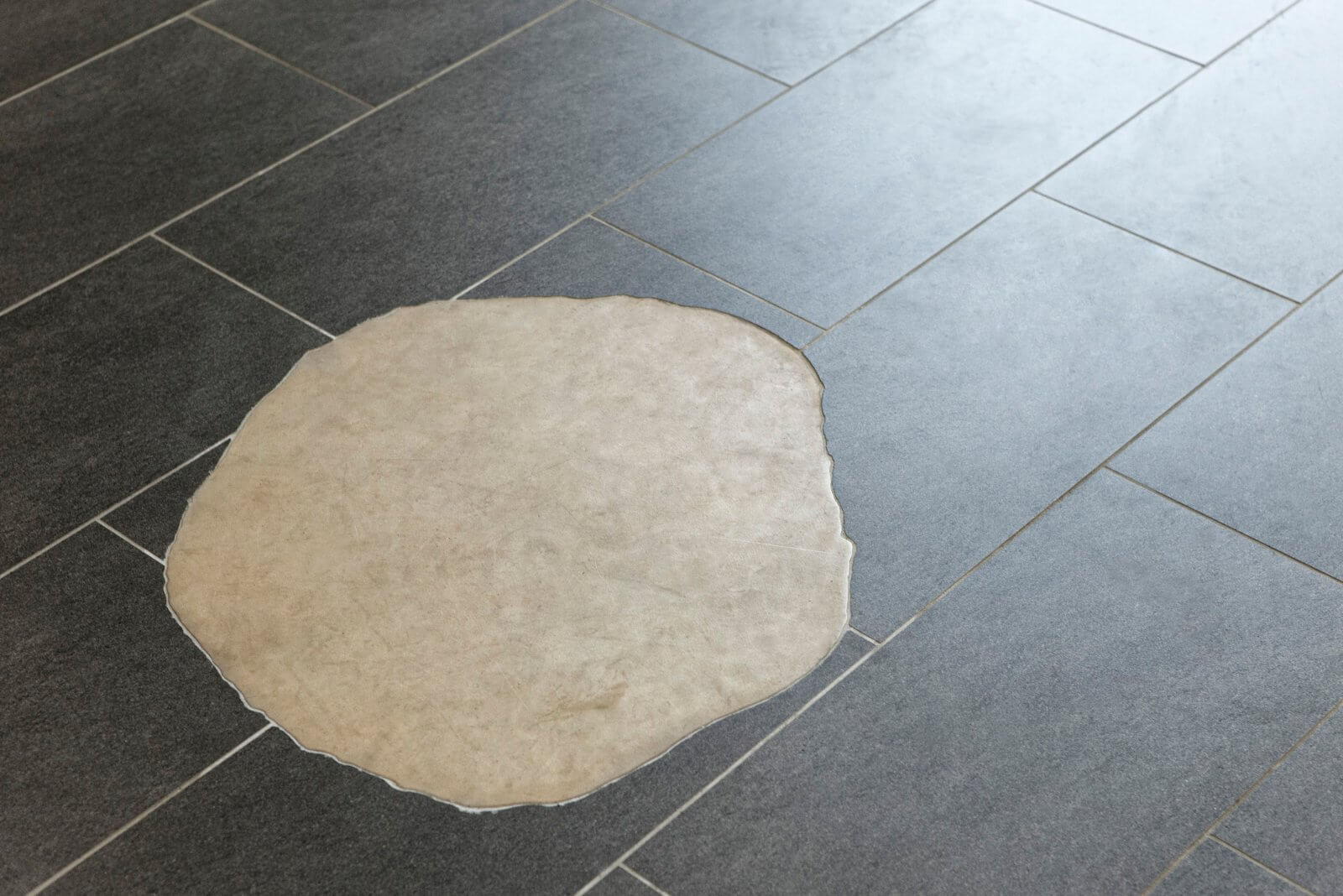 Es War Einmal Ein Baum Wilhelm Hausenstein Gymnasium 2013 Tim Bennett 04